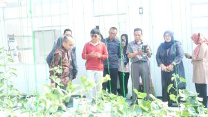 Kegiatan AL 4